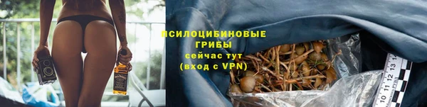мдпв Верея