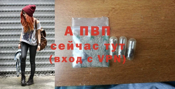 ГАЛЛЮЦИНОГЕННЫЕ ГРИБЫ Волосово