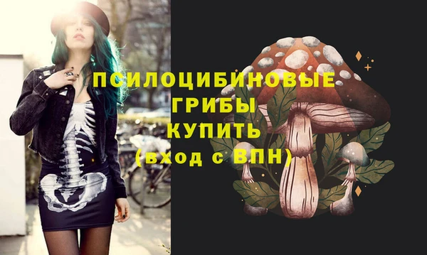 ГАЛЛЮЦИНОГЕННЫЕ ГРИБЫ Волосово