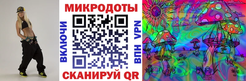 blacksprut рабочий сайт  Новотроицк  Псилоцибиновые грибы мицелий  закладки 